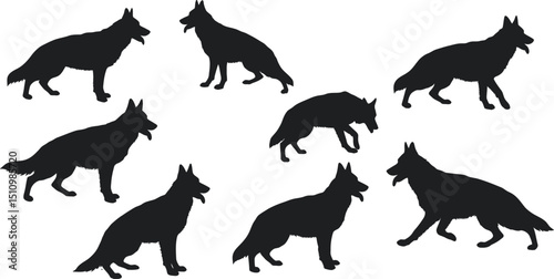 German Shepherd Dog Silhouette Pack: Multiple Alert Alsatian Poses - Walking, Standing, Canine Figures AI Generative
