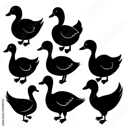 Duck silhouette bundle set vector design