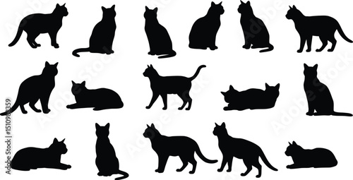 Versatile Black Cat Silhouette Collection: Multiple Poses - Lying, Sitting, Walking, Standing Feline Icons AI Generative
