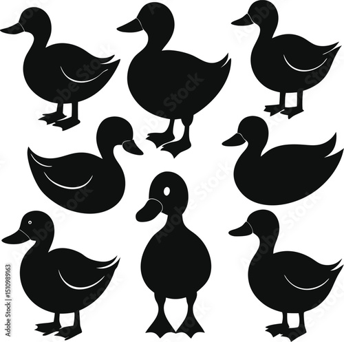 Duck silhouette bundle set vector design