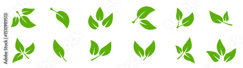 Set of black leaf icons. Leaves of trees and plants. Leaves on white background. Ecology. Vector illustration.