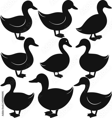Duck silhouette bundle set vector design