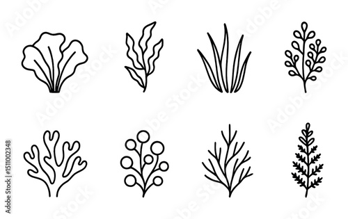 Collection of simple line art seaweed and algae illustrations.