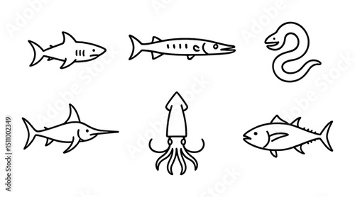 Set of marine animals: shark, barracuda, eel, swordfish, squid, tuna.