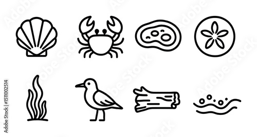 Marine icons outline: crab, seashell, seagull, seaweed, driftwood, sand dollar.