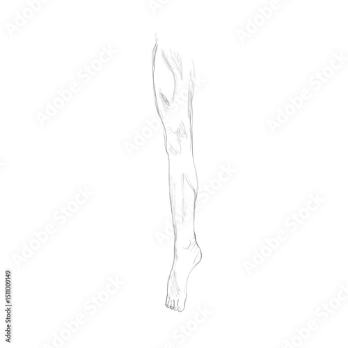The sketch shows a picture of a leg outstretched against a white background.
