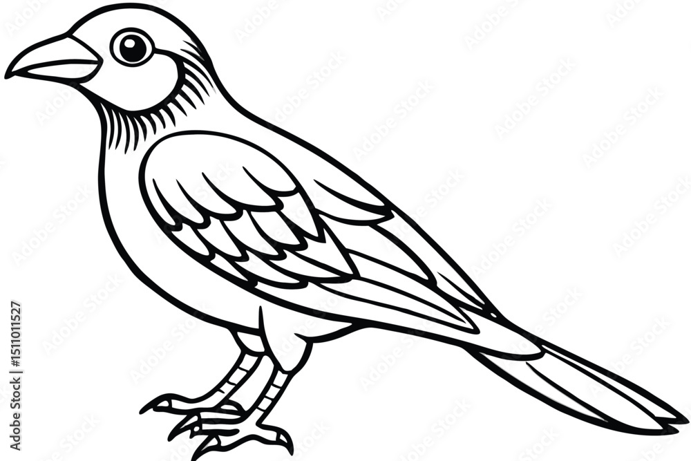 Naklejka premium dove isolated on white background