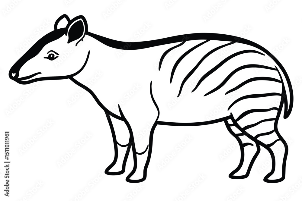 Fototapeta premium vector illustration of a zebra