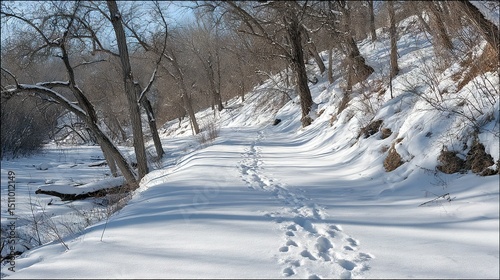   A person skiing in the distance is trailed by trees on the path's edge