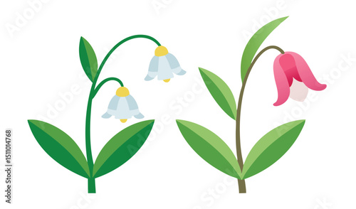 Spring flowers illustration white and pink bell flowers