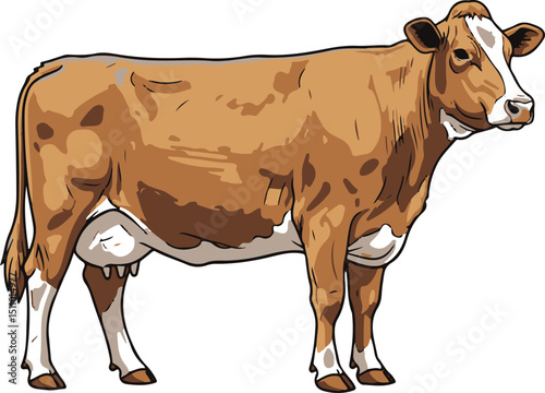 cow vector 