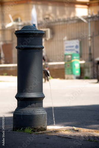Roman water fountain also called 