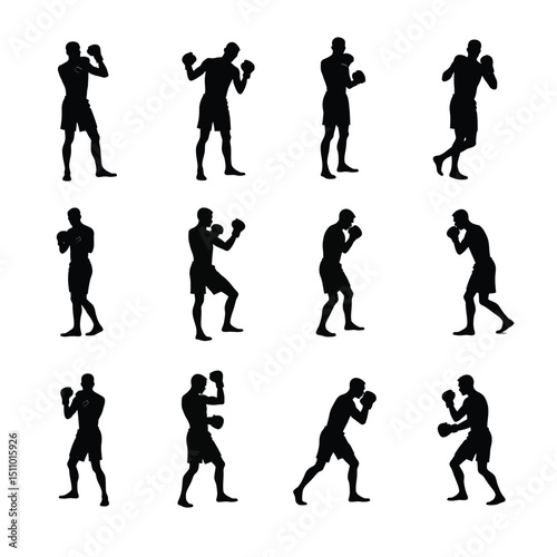 Boxer silhouettes various poses martial arts training