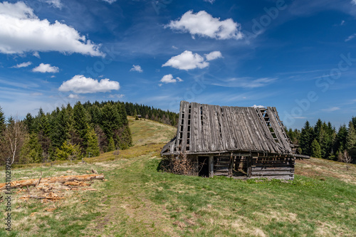 Fototapeta Naklejka Na Ścianę i Meble -  Ruins of old shepherd's cottage on the meadow in Gorce mountain range, Carpathian mountains, Poland