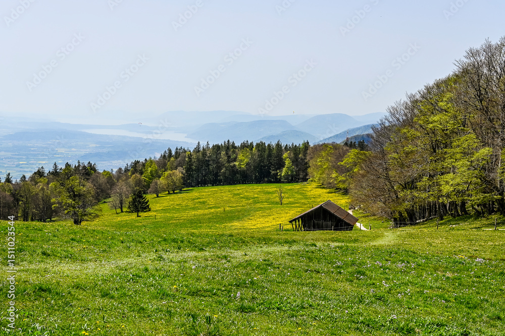 Obraz premium Weissenstein, Hausberg, Aussichtspunkt, Wanderweg, Röti, Hasenmatt, Mittelland, Jura, Kalkfelsen, Aare, Fluss, Landwirtschaft, Bergwiese, Bielersee, Frühling, Solothurn, Schweiz