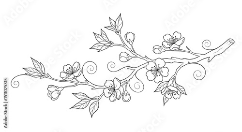 Delicate floral branch illustration with leaves and blossoms in ink  