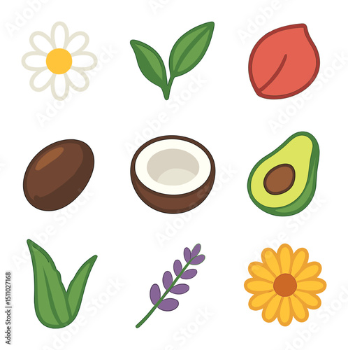 Botanical Icon Grid. Flat icon set of natural and botanical ingredients: chamomile flower, green tea leaf, rose petal, jojoba seed