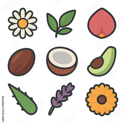 Botanical Icon Grid. Flat icon set of natural and botanical ingredients: chamomile flower, green tea leaf, rose petal, jojoba seed