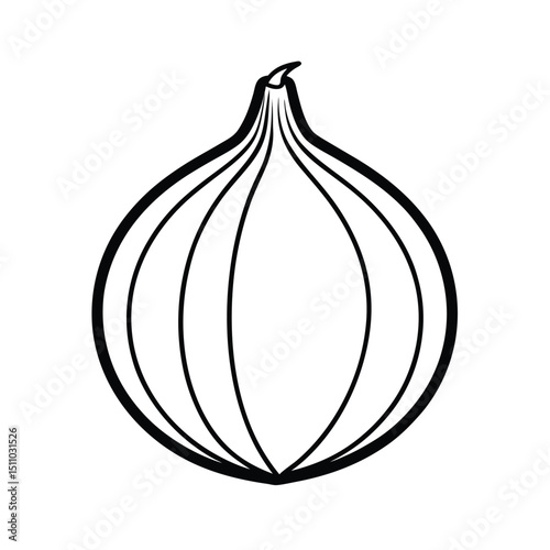 onion vector illustration
