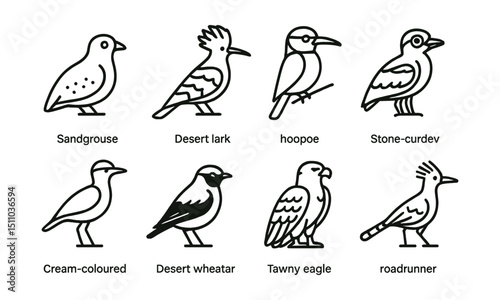 Line style icons of desert and dryland birds: sandgrouse, desert lark, hoopoe, bee-eater, stone curlew, cream-colored courser, desert wheatear, Egyptian vulture, tawny eagle, roadrunner.