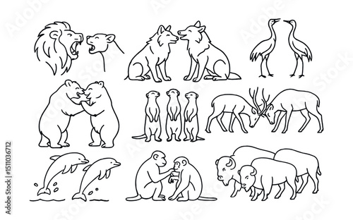 Line style icons of wild animals interacting with each other: lion roar display, wolf pack greeting, birds mating dance, bears wrestling, meerkats standing alert, deer antler duel, dolphins leaping