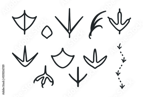 Line style icons of bird tracks and markings: seagull footprint, heron track, pigeon print, crow claw, ostrich toe, duck webbed print, eagle talon track, owl footprint, partridge track, sandpiper