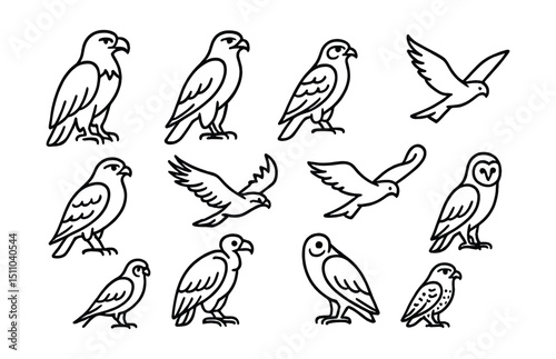 Line style icons of raptors and birds of prey: eagle, hawk, falcon, buzzard, osprey, kite, harrier, vulture, barn owl, peregrine falcon.
