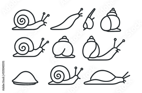 Line style icons of snails and small mollusks: garden snail, slug, pond snail, ramshorn snail, apple snail, land snail, air-breathing snail, freshwater limpet, spiraled snail, forest slug.