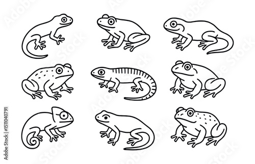 Line style icons of nocturnal reptiles and amphibians: gecko, tree frog, salamander, toad, night lizard, bullfrog, nocturnal chameleon, newt, gopher frog, red-eyed tree frog.