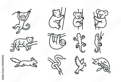 Line style icons of climbing and arboreal behavior: monkey swinging, bear climbing tree, leopard in tree, koala holding trunk, sloth hanging, gecko on wall, squirrel jumping, snake coiling branch,