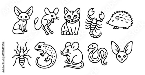 Line style icons of desert-dwelling nocturnal animals: fennec fox, jerboa, sand cat, scorpion, desert hedgehog, camel spider, nocturnal gecko, desert rat, night snake, long-eared bat.