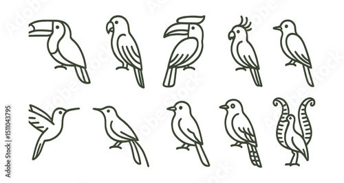 Line style icons of tropical birds: toucan, macaw, hornbill, parrot, hummingbird, bird of paradise, sunbird, trogon, tanager, lyrebird.