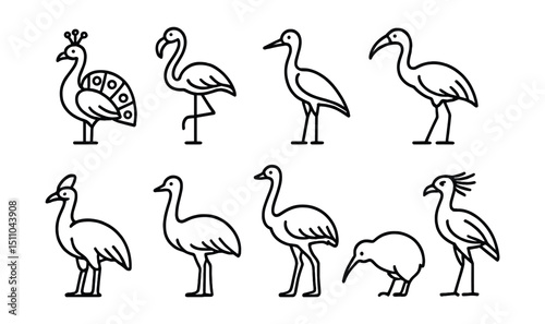 Line style icons of iconic global birds: peacock, flamingo, crane, albatross, ibis, cassowary, emu, ostrich, kiwi, secretary bird.