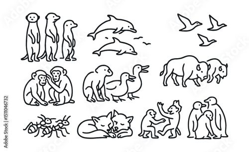 Line style icons of group and social behaviors: meerkats standing watch, dolphins swimming together, birds in V-formation, primates grooming, bison herd moving, geese honking together, ants working