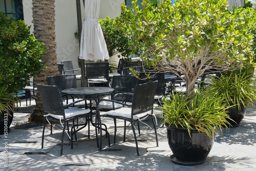 Cozy outdoor seating area of empty restaurant or bistro surrounded plant on flower pots. Black tables and chairs with pads on patio terrace or cafes.