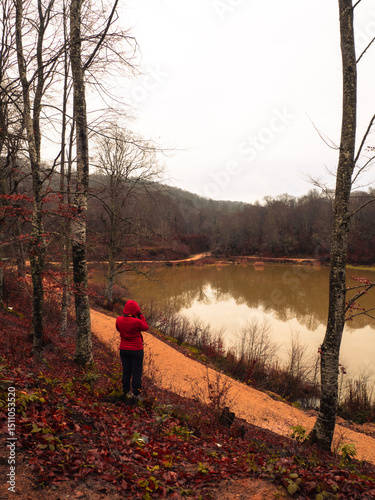 Yenice Forests are located in the northwest of Turkey.