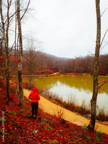 Yenice Forests are located in the northwest of Turkey.