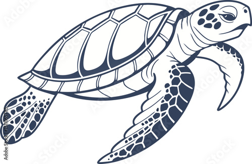 sea turtle vector illustration