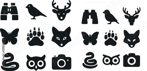 Wildlife and nature icons for design projects and educational materials photo