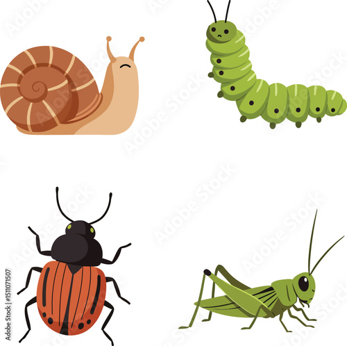 Snail caterpillar beetle and grasshopper insect vector illustration with natural colors and simple design