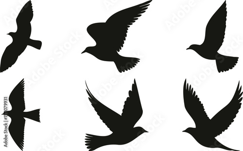 Flying birds in silhouette style with wings extended