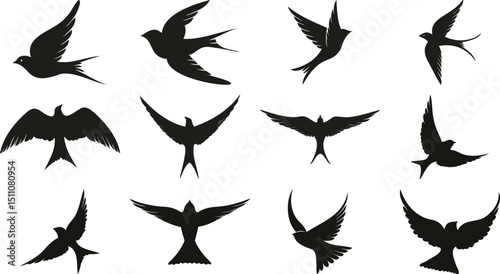 Swallow bird silhouettes in flight