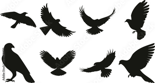 Collection of bird silhouettes in flight and perched