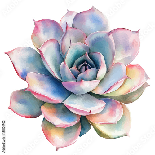 Wall Decal, watercolor illustration vector, high quality, isolated on a white background.