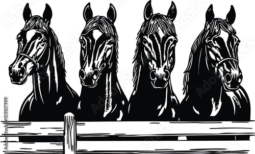 horse vector illustration