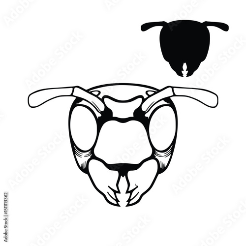 Ant head in detailed outline, isolated on white background. Silhouette Art