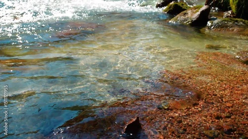 Mountain stream with clean pure water on summer day