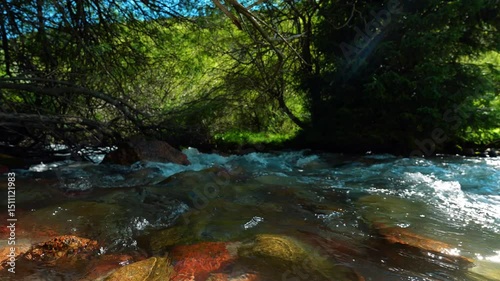 Mountain stream with clean pure water on summer day