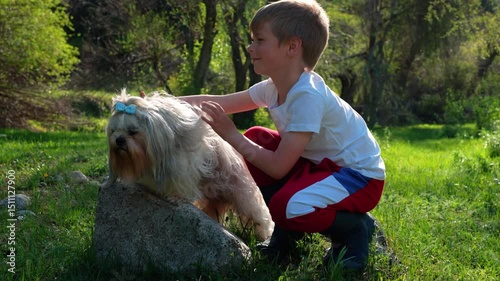 Child with shih-tzu dog sitting on summer meadow