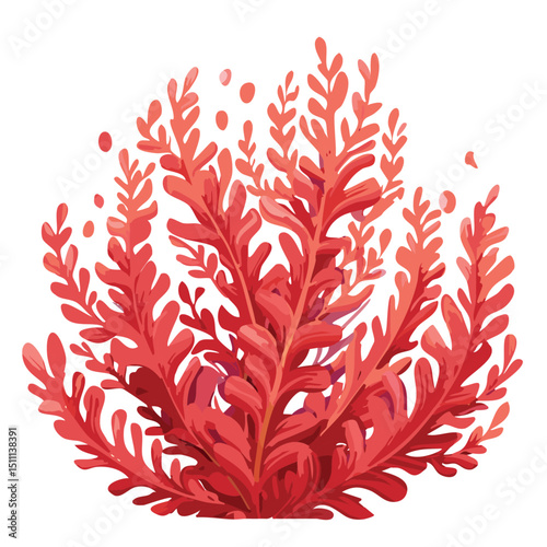 Red Algae Illustration with Round Leaves and Bubbles, Seaweed Vector Design on White Background
